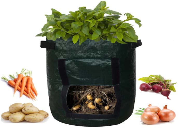 Garden Vegetable PE Fabric Planter（one）