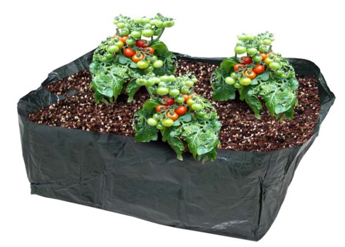 Garden Vegetable PE Fabric Planter(three)
