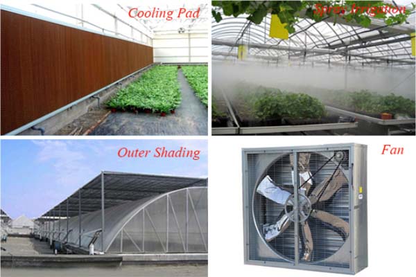 Plastic Film Sawtooth Greenhouse