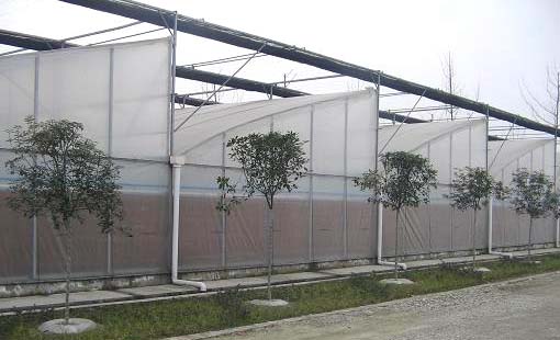 Plastic Film Sawtooth Greenhouse