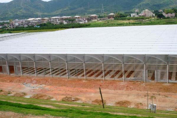 Plastic Film Sawtooth Greenhouse