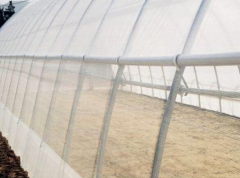 Insect Proof Net for Greenhouse-Bozong Greenhouse
