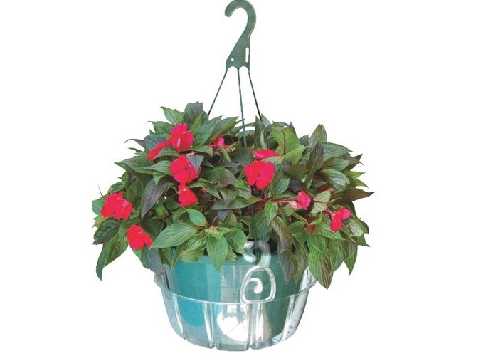 Plastec Hanging Flower Pot Saucer-Bozong Greenhouse