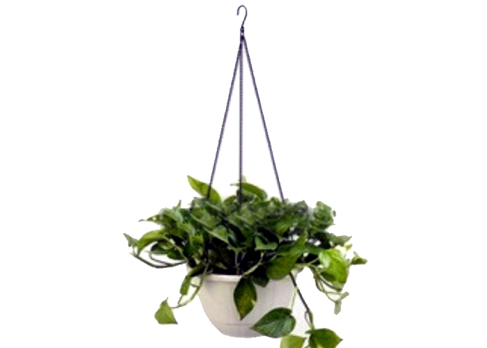 Hanging Plastic Flower Pot for Greenhouse-Bozong Greenhou