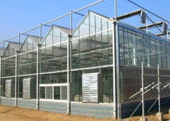commercial green house glass-Bozong Greenhouse