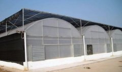 Film Greenhouse With External Sun Shade System