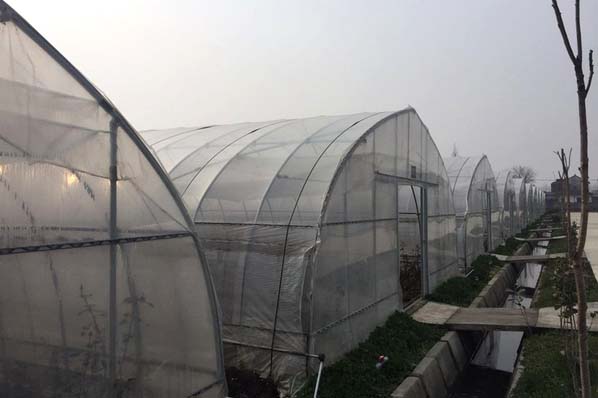 film greenhouse