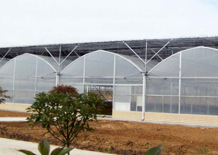 Film Greenhouse