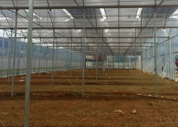 Film Greenhouse