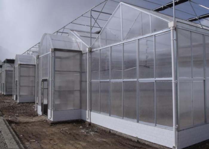 Comparative PC & Film greenhouse,who is the winner?