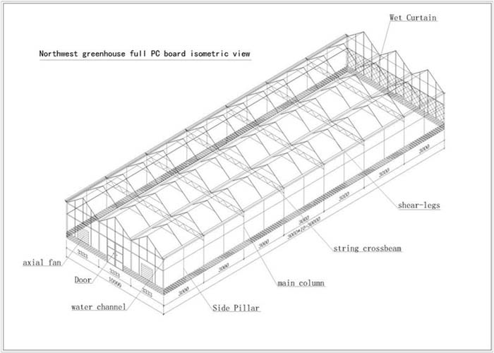 Polycarbonate Greenhouse