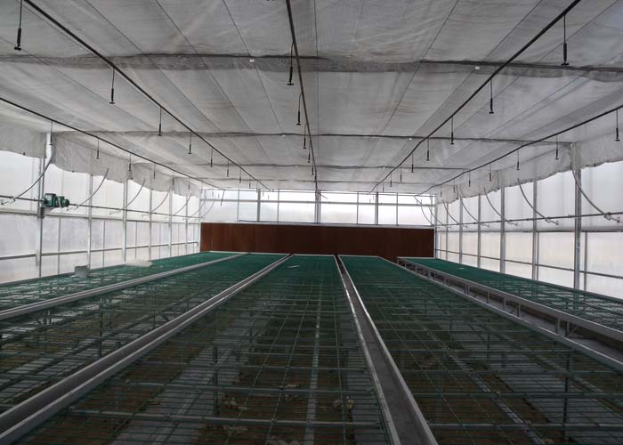 Polycarbonate Greenhouse