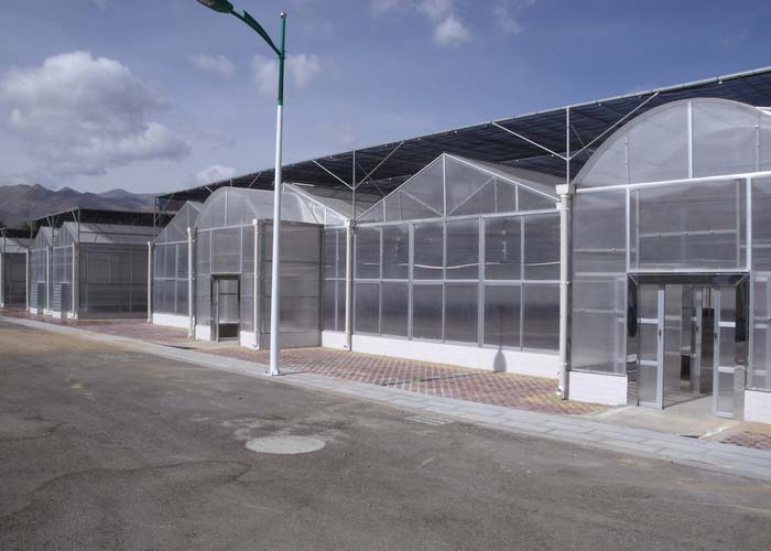 Polycarbonate Greenhouse