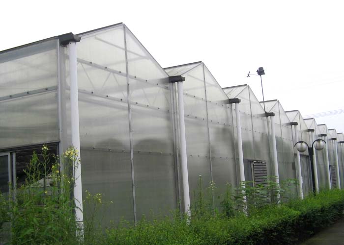 Polycarbonate (PC) Sheet Greenhouse for Eco-Restaurant