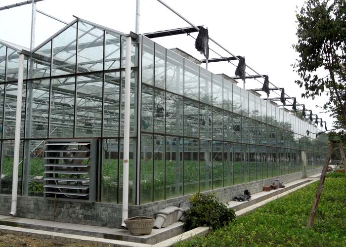 Commercial Glass Greenhouse(Side)