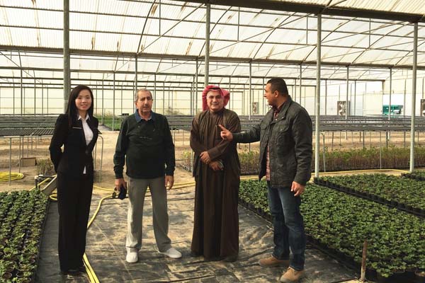 Customer Visiting Scientific Research Greenhouse