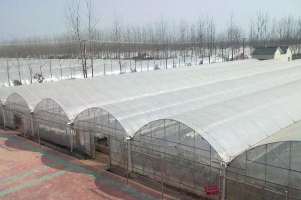 Mutil-Span Film Greenhouse