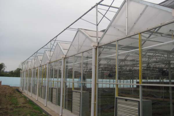 The vegetable seedling glass greenhouse of Tongchuang,Dazhou