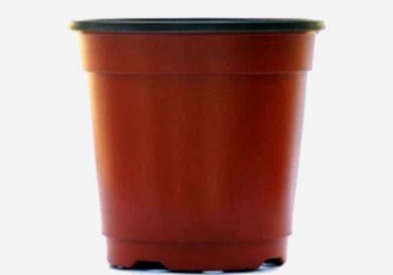 Double Color Plastic Flower Pot for Greenhouse