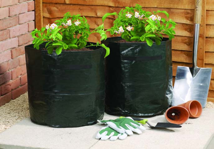Garden Vegetable PE Fabric Planter（two ）