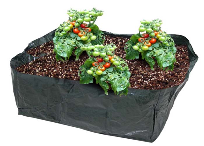 Garden Vegetable PE Fabric Planter（three）