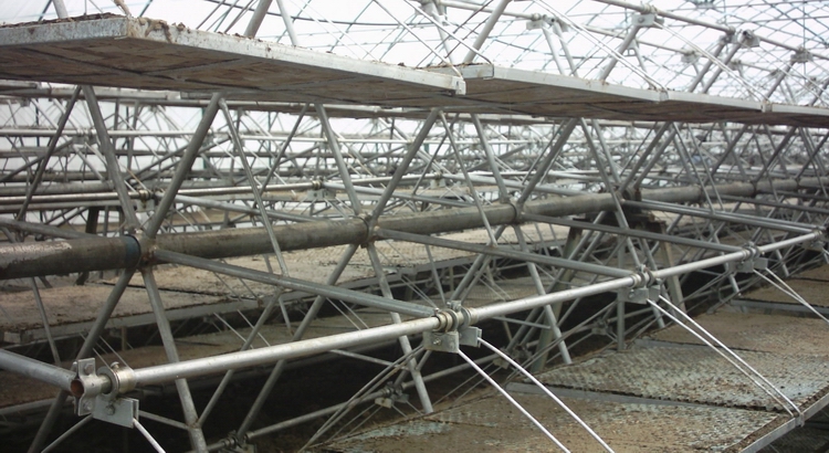 Galvanised steel frame with clamped pipe sections, purlins and diagonal bracing on a greenhouse structure