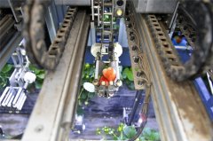 Mobile Robots in Gree